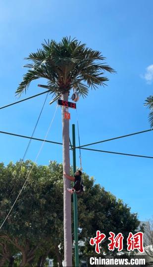 上海消防员化身攀椰竞速选手体验最海南的独特